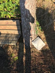 PROJECTEUR TOMBE FACE A LA MER